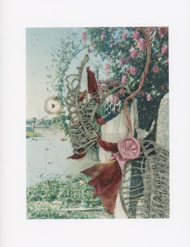 Hackney Flowers Print : Ref HFWP04