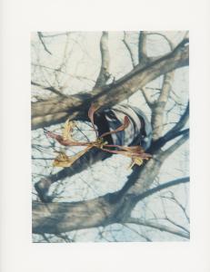 Hackney Flowers Print : Ref HFWP17