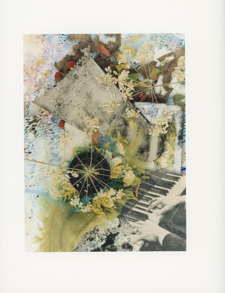 Hackney Flowers Print : Ref HFWP02