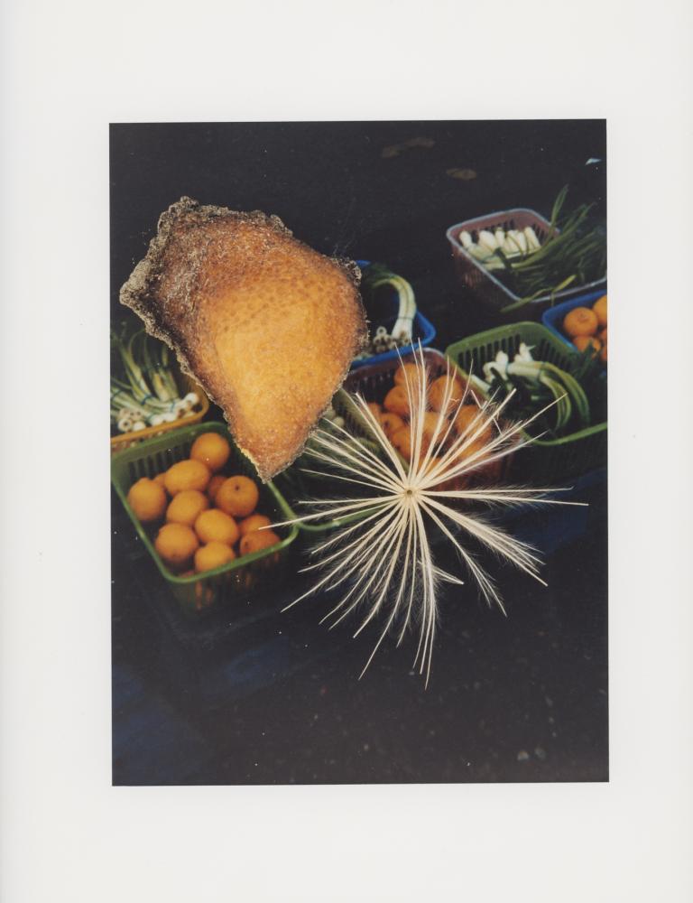 Hackney Flowers Print : Ref HFWP12