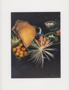 Hackney Flowers Print : Ref HFWP12