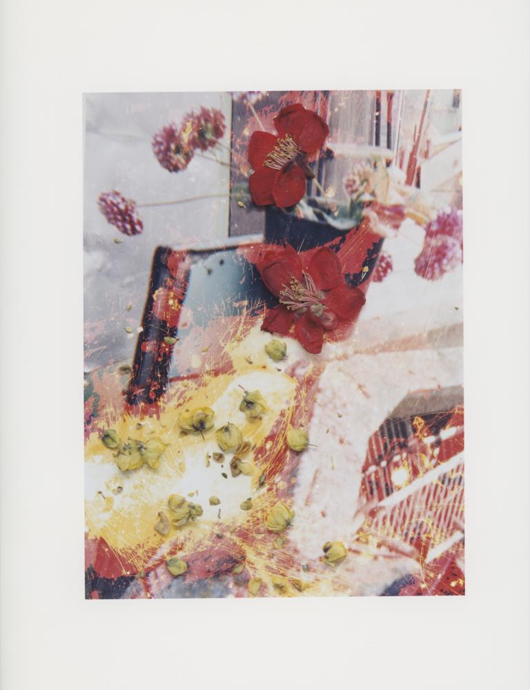 Hackney Flowers Print : Ref HFWP18