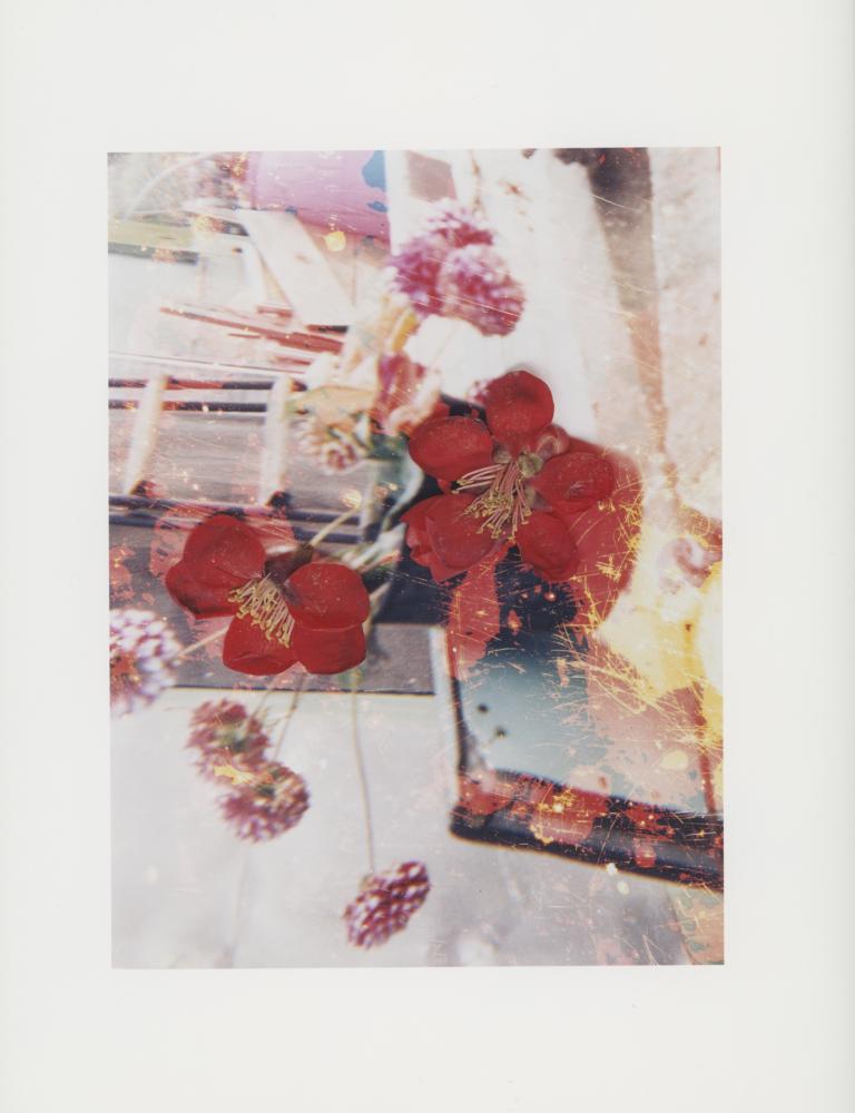 Hackney Flowers Print : Ref HFWP01