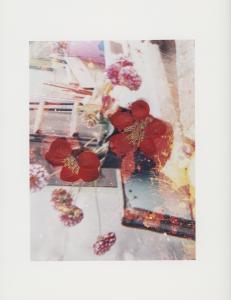 Hackney Flowers Print : Ref HFWP01