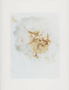 Hackney Flowers Print : Ref HFWP07