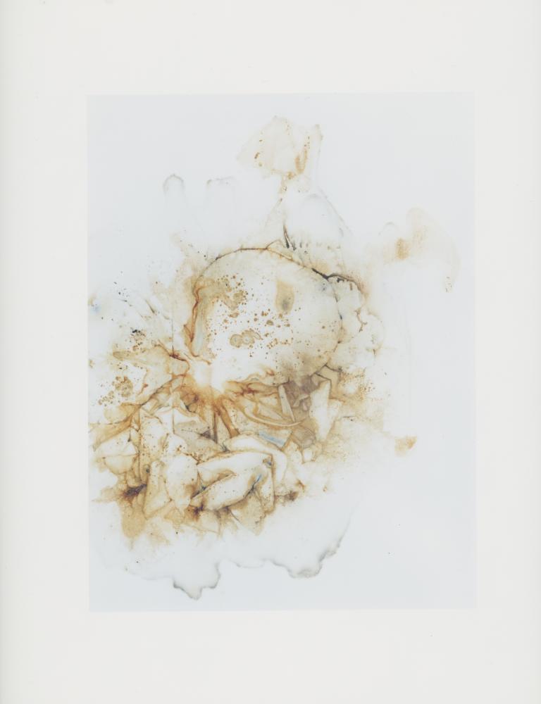 Hackney Flowers Print : Ref HFWP06