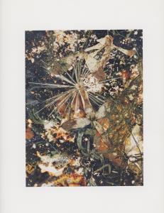 Hackney Flowers Print : Ref HFWP08