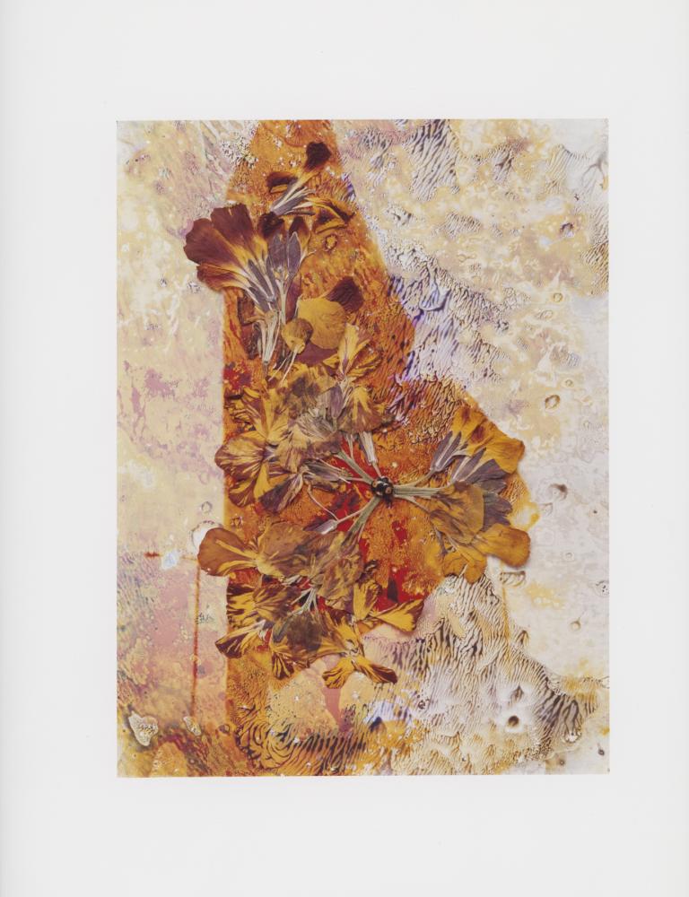 Hackney Flowers Print : Ref HFWP14