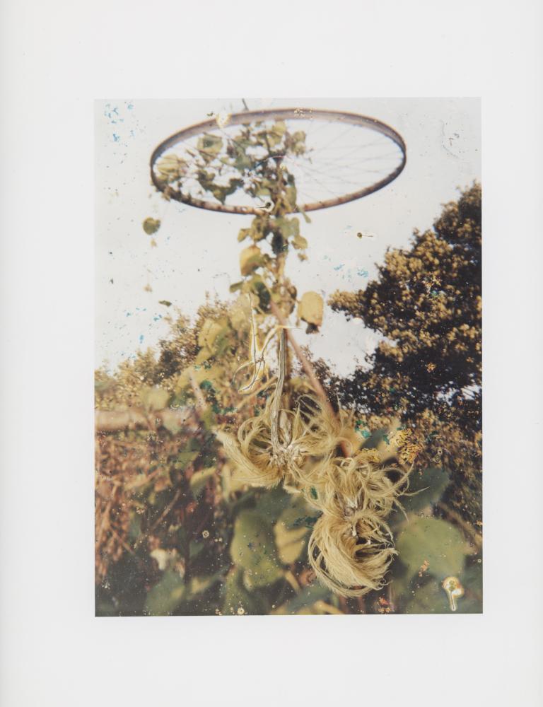 Hackney Flowers Print : Ref HFWP11