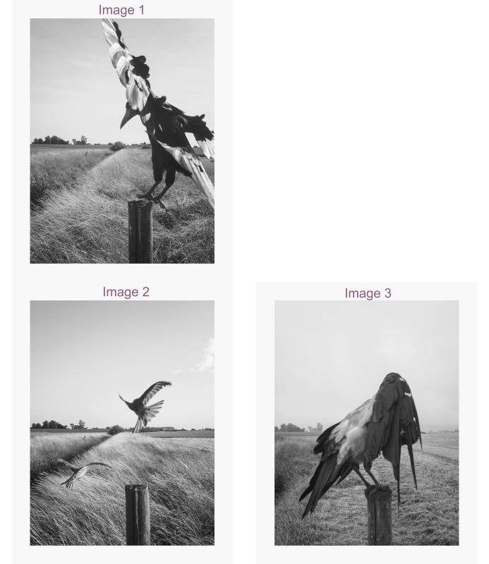 The Pillar - "Print Your own" x 3 Image options