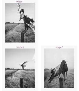 The Pillar - "Print Your own" x 3 Image options