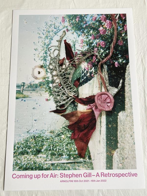 Poster A Retrospective Hackney Flowers 2