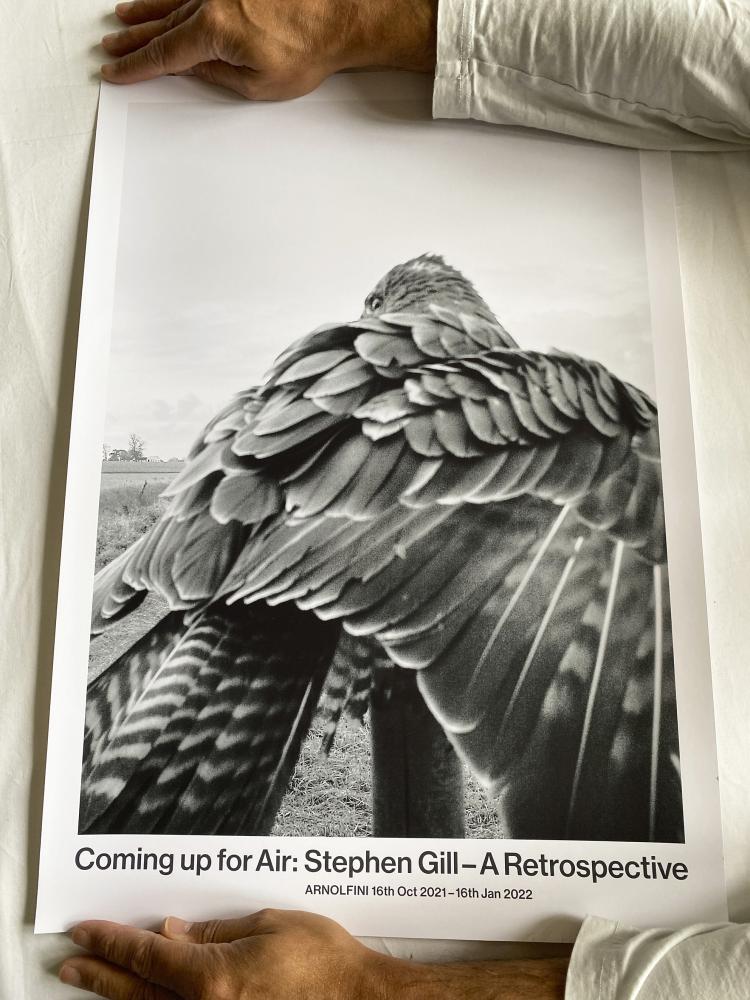 Arnolfini Poster - The Pillar