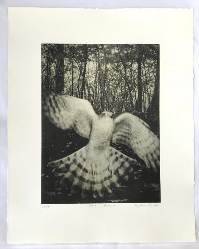 Night Procession - Print Edition