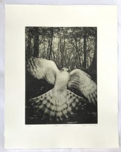 Night Procession - Print Edition