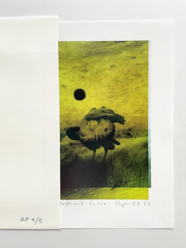 MAGNIFICENT FAILURE - EDITION WITH PRINT