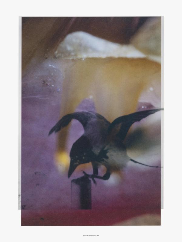 Post Books and Doverstreet Market Posters