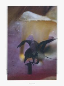 Post Books and Doverstreet Market Posters