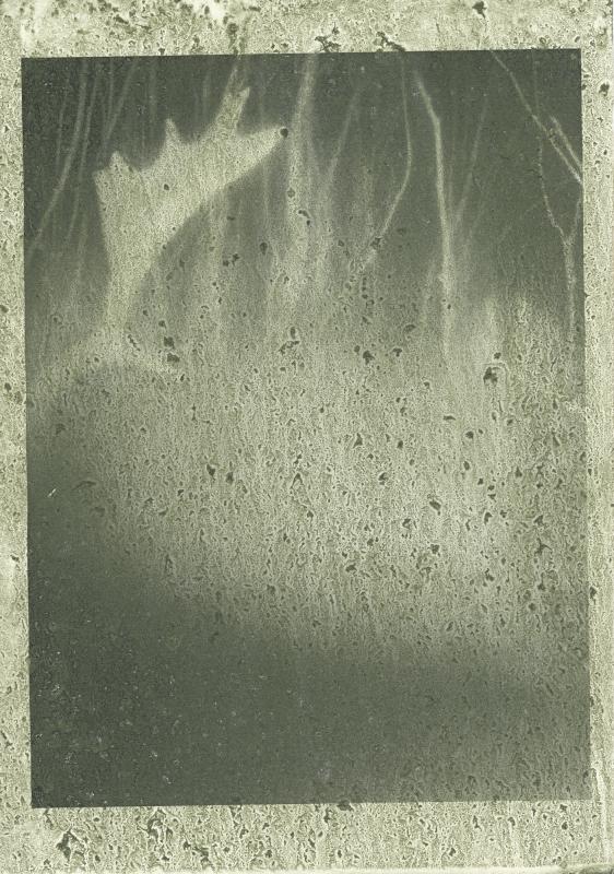 Night Procession Book + Special Print - Antler