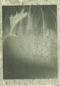 Night Procession Book + Special Print - Antler