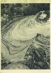 Night Procession Print / 41