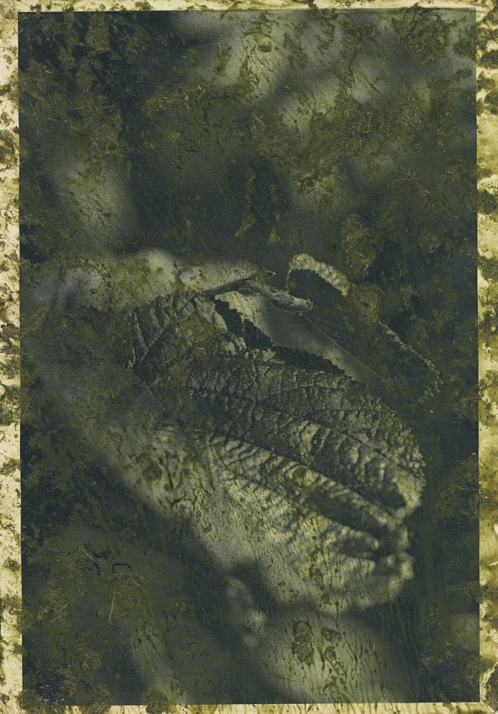 Night Procession Print / 043