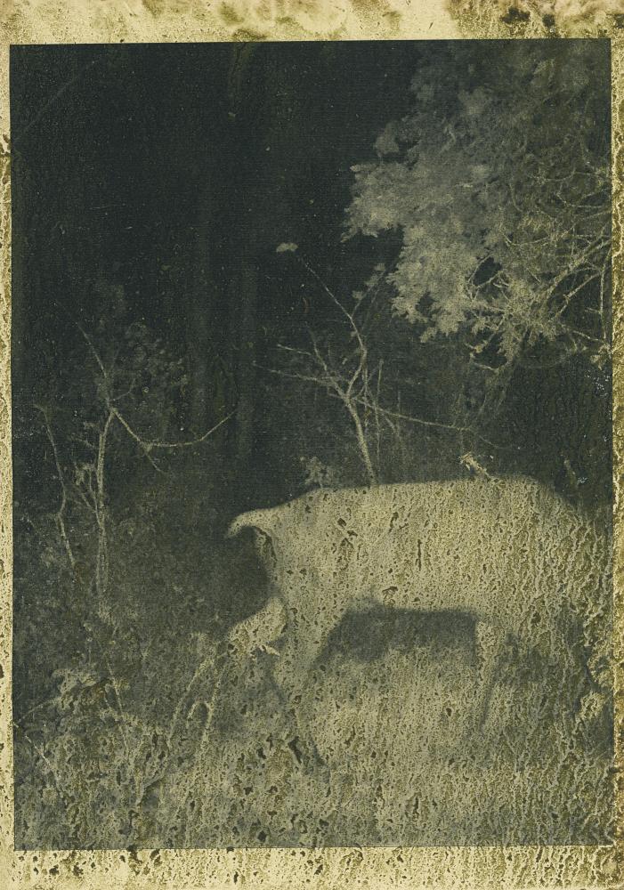 Night Procession Print / 046