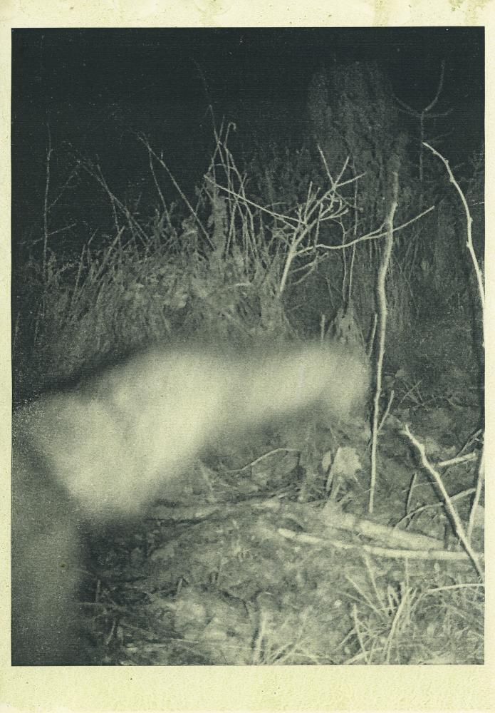 Night Procession Print / 047