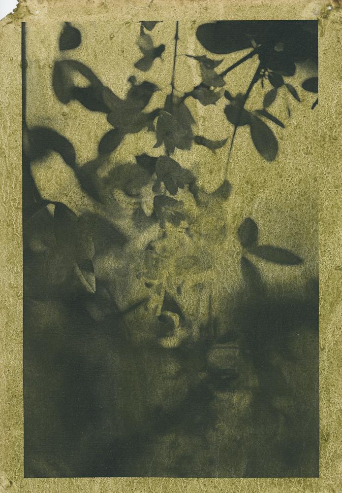 Night Procession Print / 048