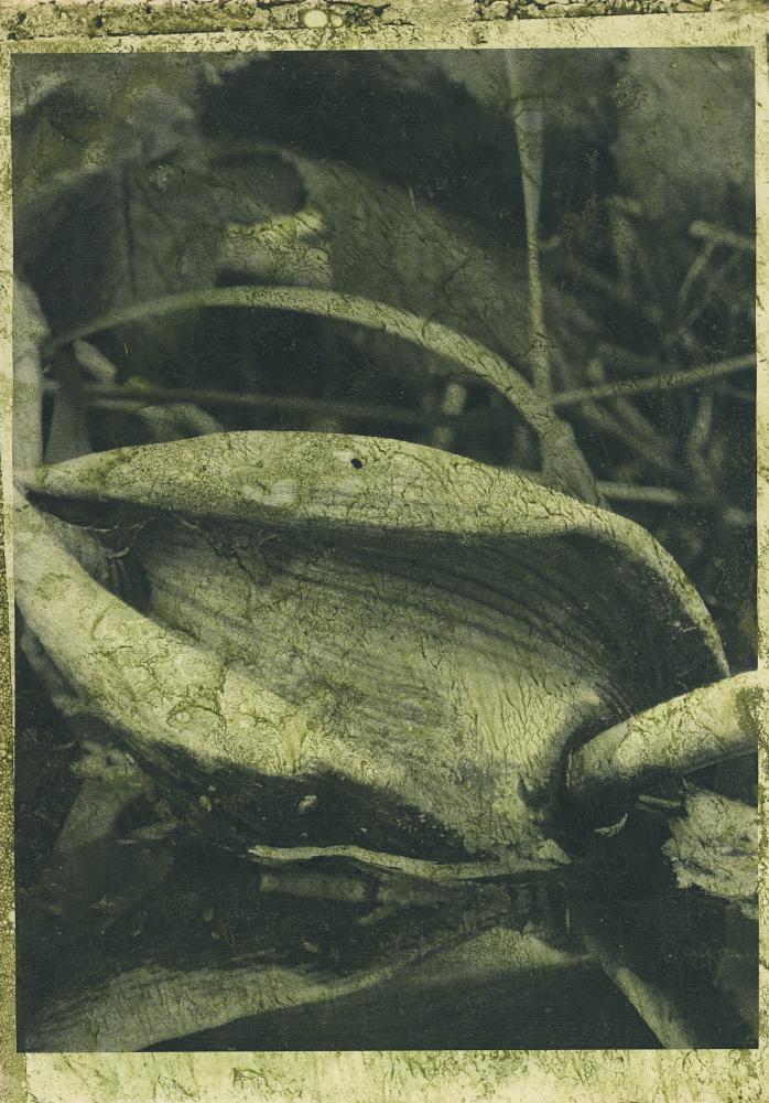 Night Procession Print / 051