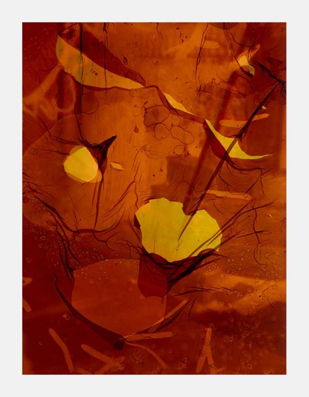 Best Before End - Print Edition