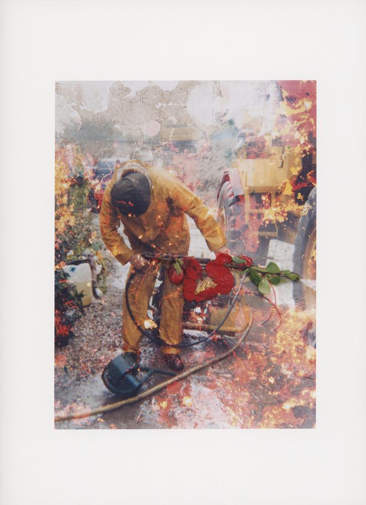 Hackney Flowers Print / 060