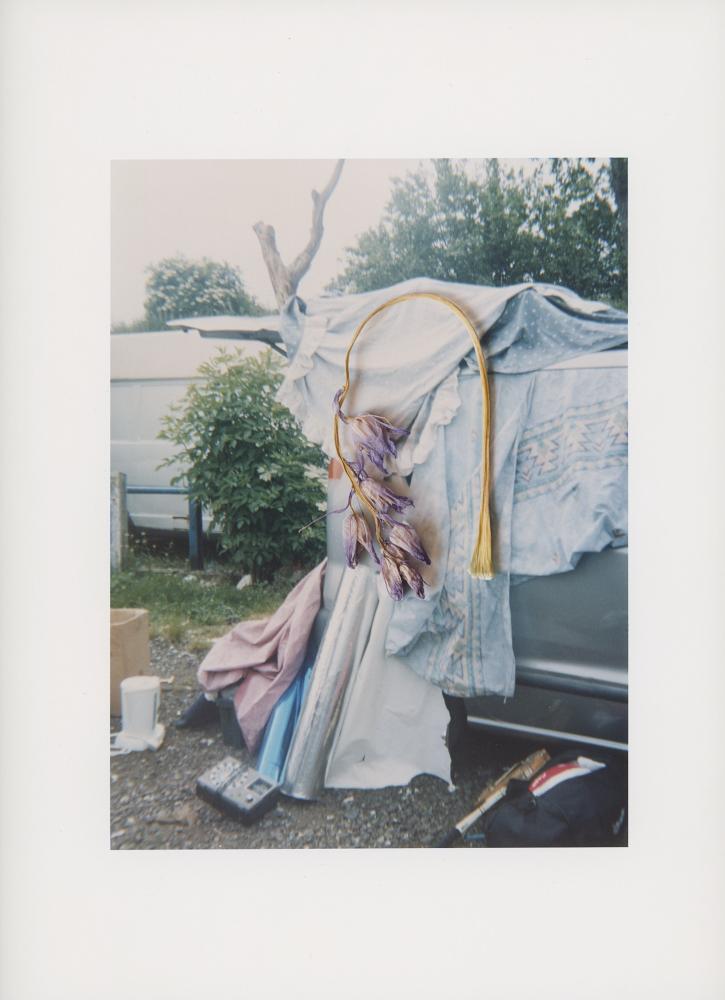 Hackney Flowers Print / 061