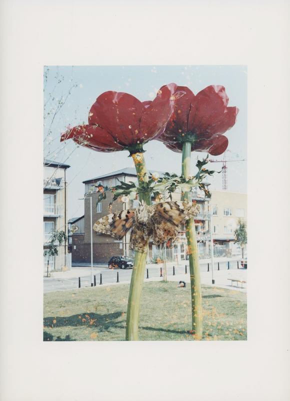 Hackney Flowers Print / 065