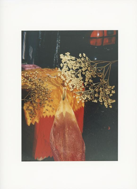 Hackney Flowers Print / 070