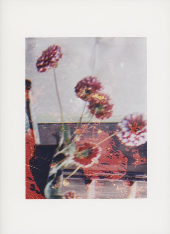 Hackney Flowers Print / 072