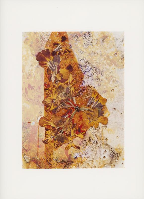Hackney Flowers Print / 074