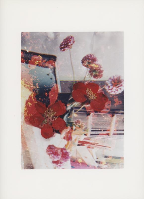 Hackney Flowers Print / 075