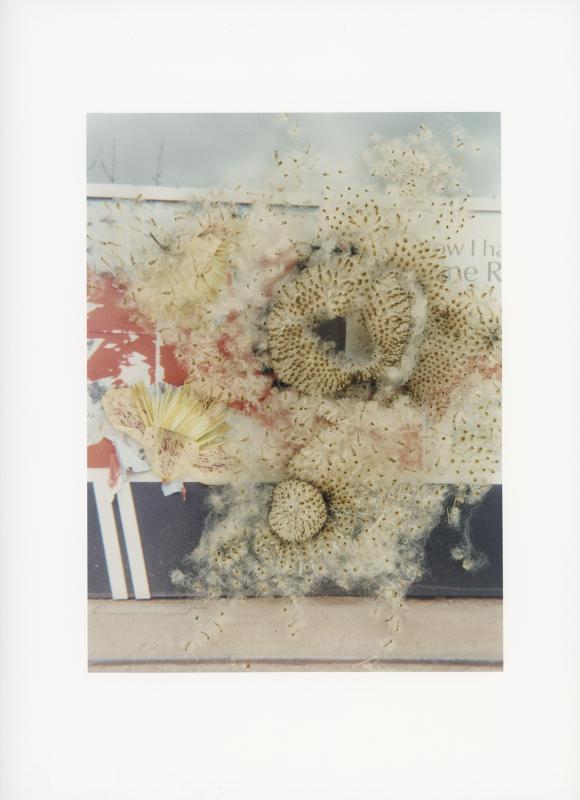 Hackney Flowers Print / 077