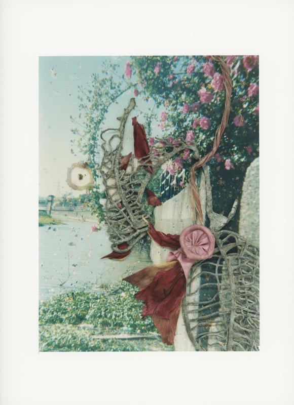 Hackney Flowers Print / 079