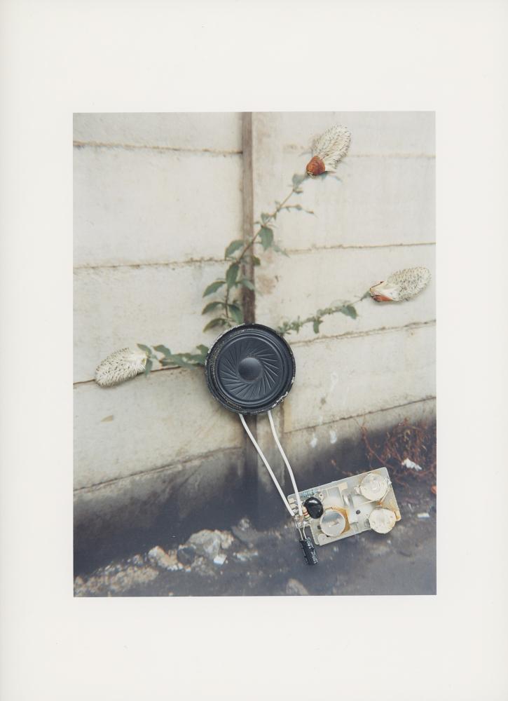 Hackney Flowers Print / 080