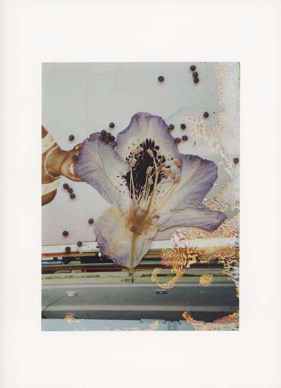 Hackney Flowers Print / 083