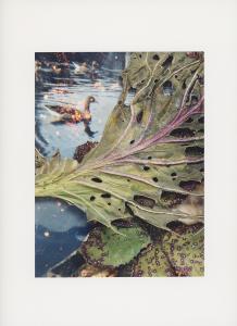 Hackney Flowers Print / 085