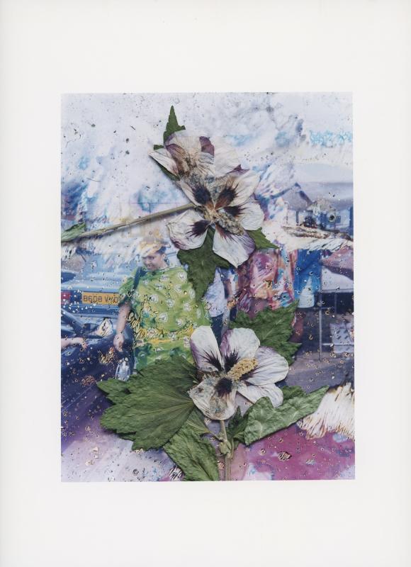 Hackney Flowers Print / 059