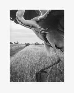 The Pillar - 20th anniversary print