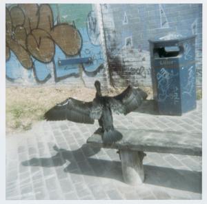 Archaeology in Reverse