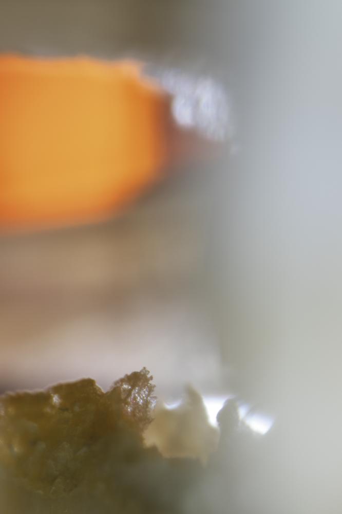 Please Notify The Sun