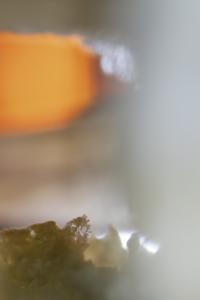 Please Notify The Sun