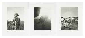 The Pillar - Collotype set of 3