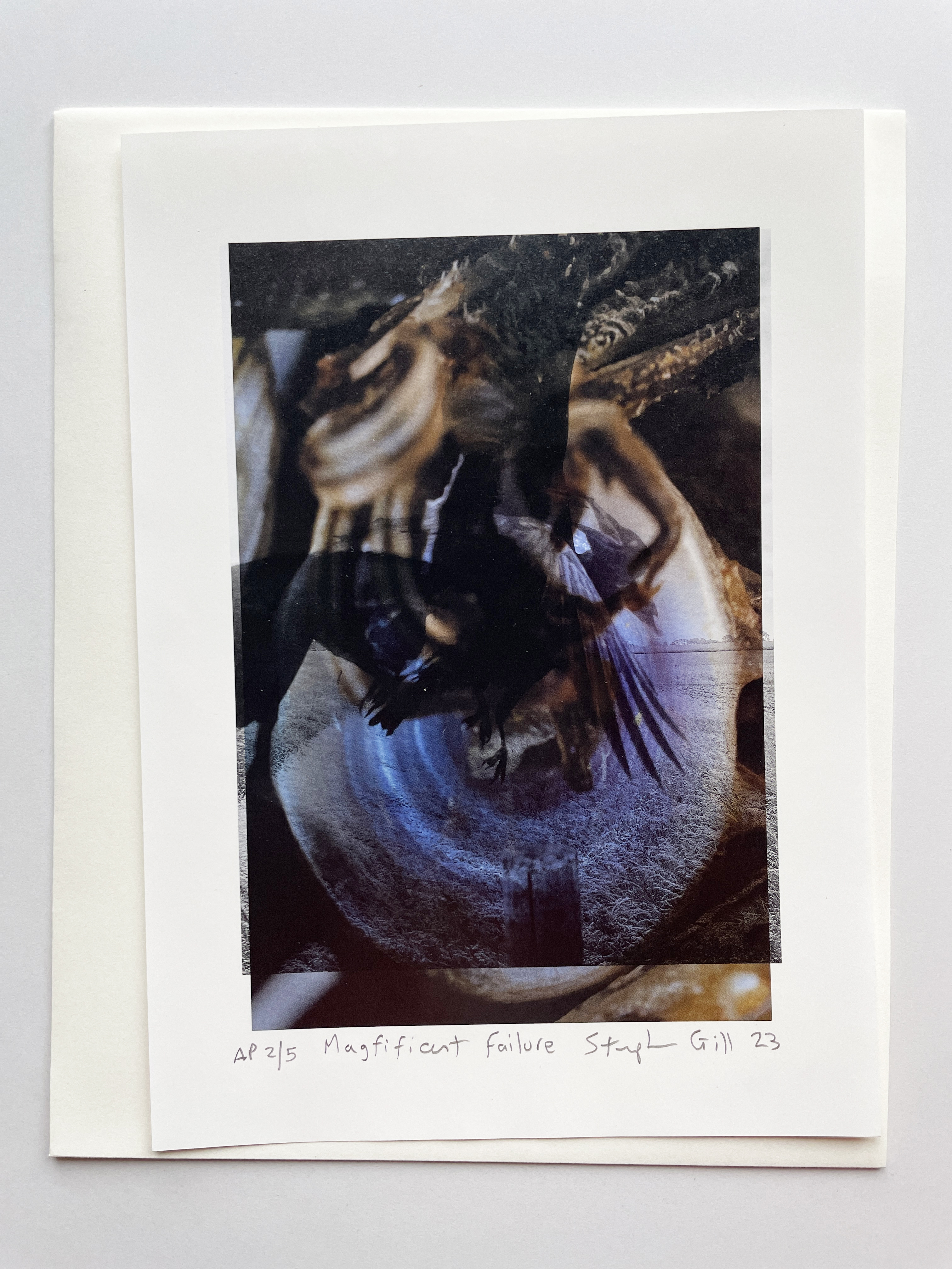 MAGNIFICENT FAILURE - EDITION WITH PRINT